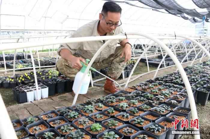 ���������һҳ