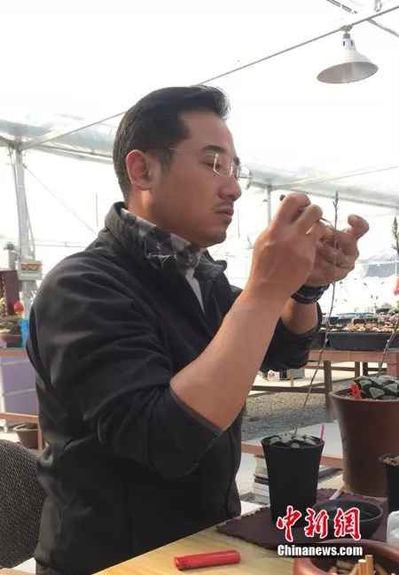 ���������һҳ