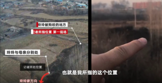 9��Ůͯ��2ֻ��Ȯҧ�� ��������50��Ԫ��˫��˽��