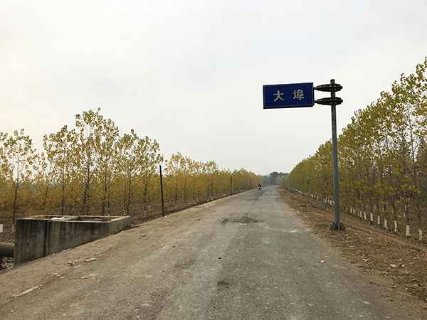 萝卜闹剧:3000余人拔掉120万斤萝卜 老农损失21万