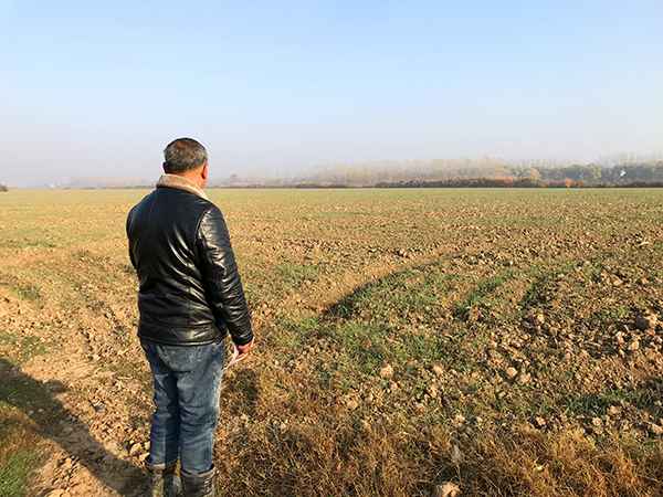 萝卜闹剧:3000余人拔掉120万斤萝卜 老农损失21万