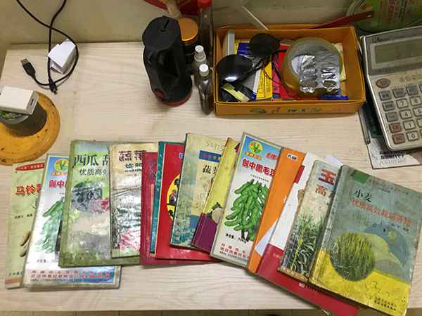 萝卜闹剧:3000余人拔掉120万斤萝卜 老农损失21万