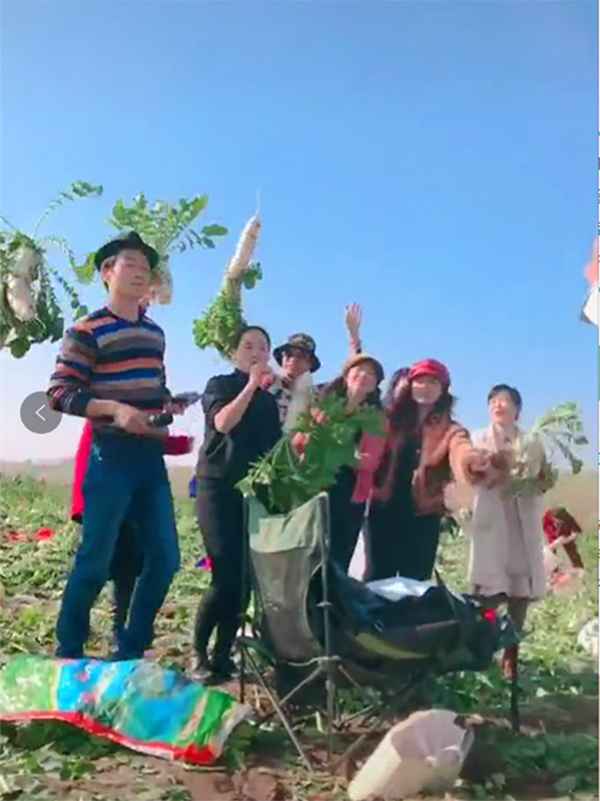 萝卜闹剧:3000余人拔掉120万斤萝卜 老农损失21万