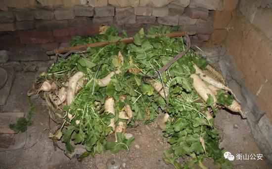 ����������������ܲ���