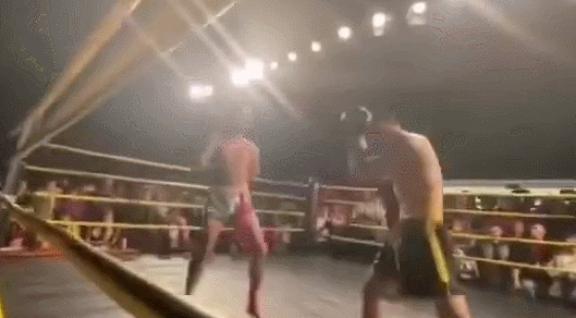 �سɶ�����������ѧ������ȥ�� ��������������ͣ