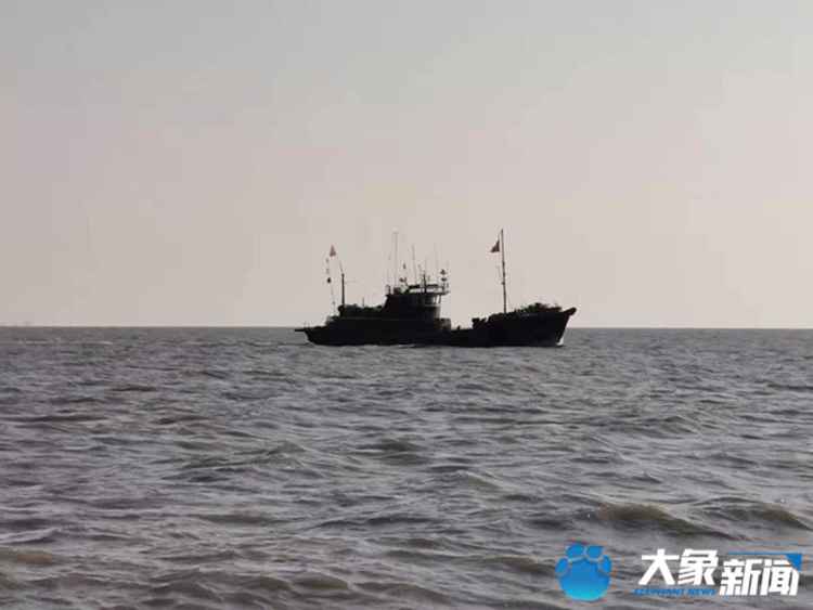 本文图片 大象新闻